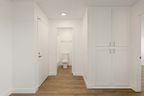 A white bathroom with a toilet and a cabinet.
