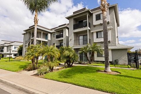A large apartment building with a palm tree in front.