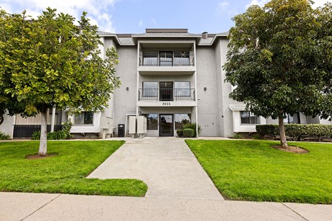 A building with a tree in front of it.