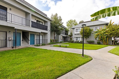 Apartment complex with green grass and trees.