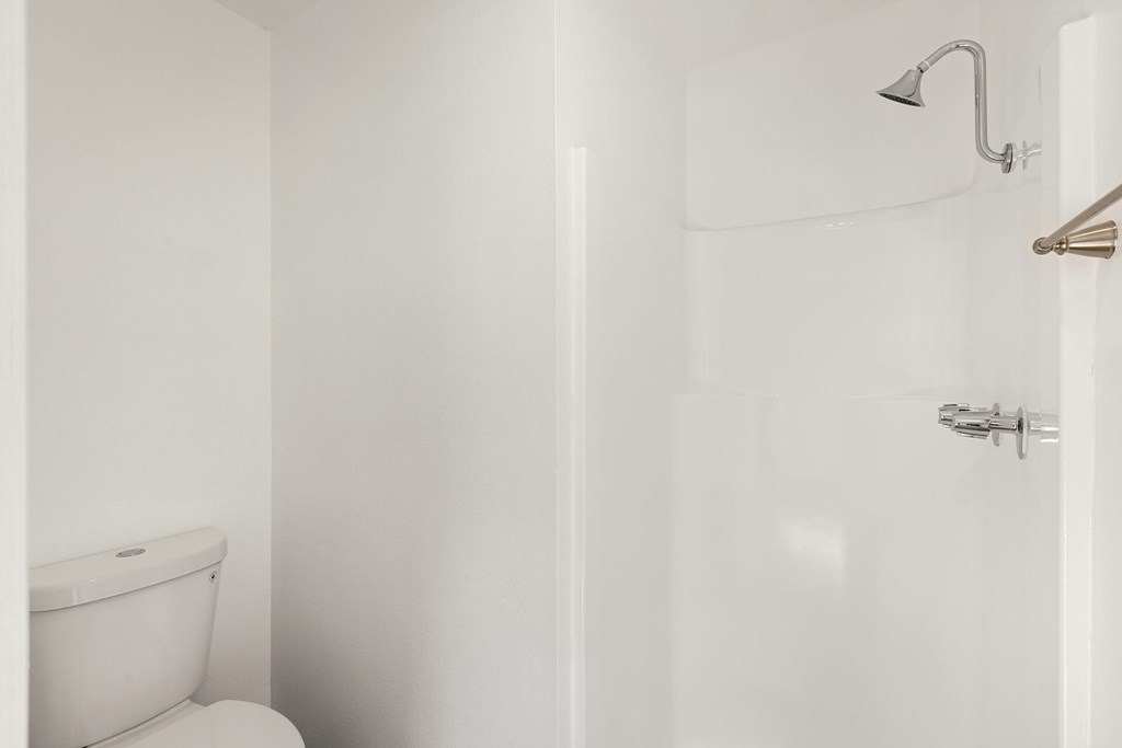A white toilet is next to a white shower in a bathroom.