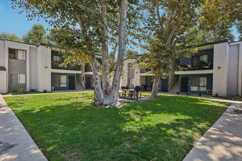 A tree in the middle of a grassy area in front of apartment buildings.