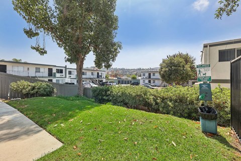 A green lawn with a tree and a trash can in front of a building.
