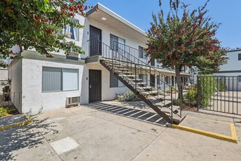 A white building with a black door and a tree in front.