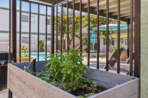 A wooden planter box with green plants in front of a metal fence.
