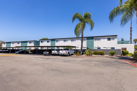 A parking lot with a building and palm trees in the background.