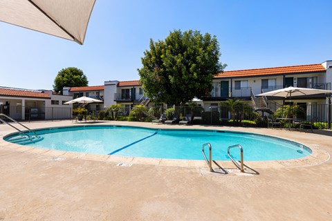 A swimming pool surrounded by a fence and a tree.