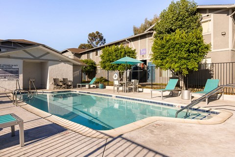 A pool with a bench and a tree in the background.