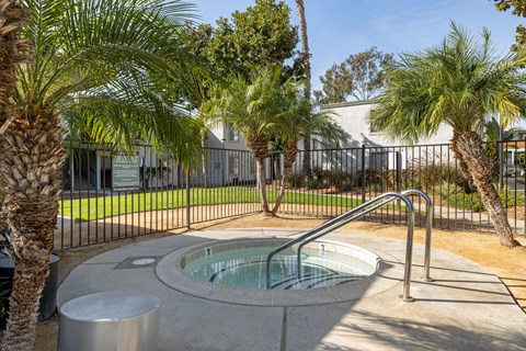 A hot tub sits in the middle of a concrete patio surrounded by palm trees.