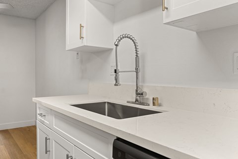 A kitchen with a sink and a faucet.