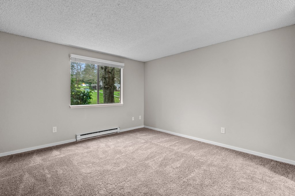 A room with a window and a carpeted floor.