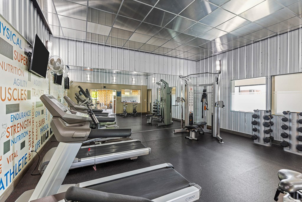 A gym with treadmills, weights and exercise equipment.