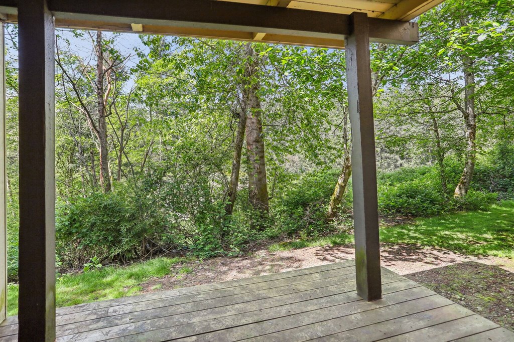 A wooden deck with a pergola over it and a forest in the background.