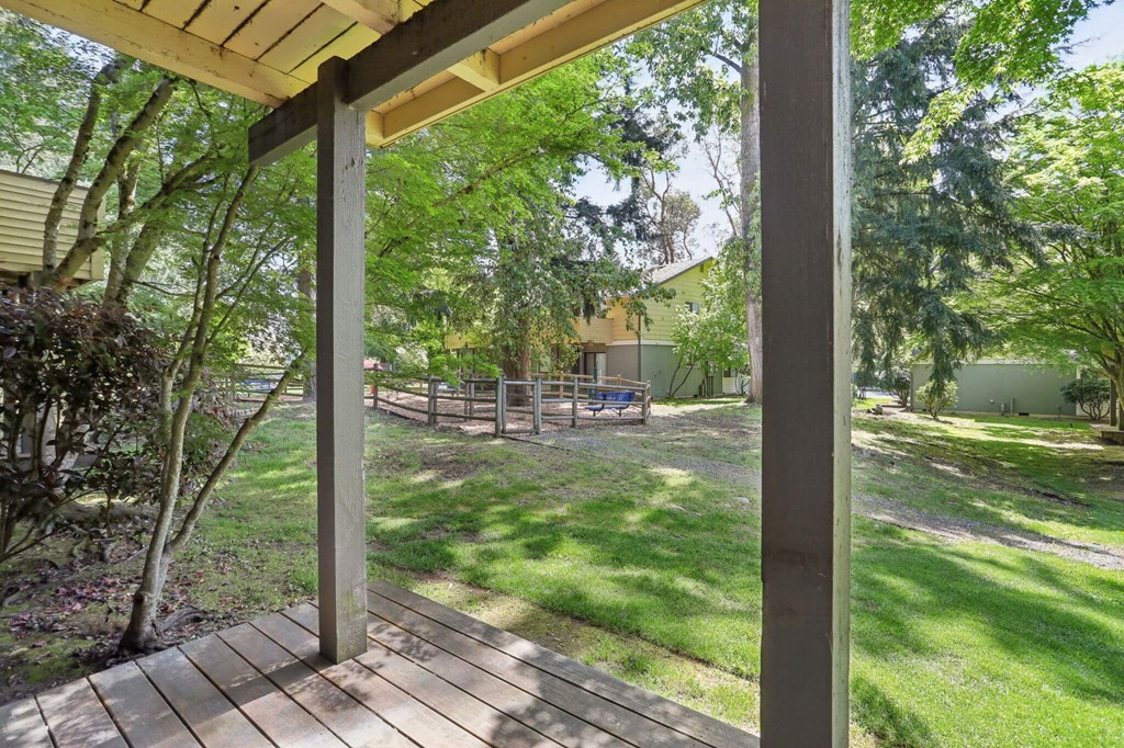 A wooden deck with a pergola over it is surrounded by greenery.