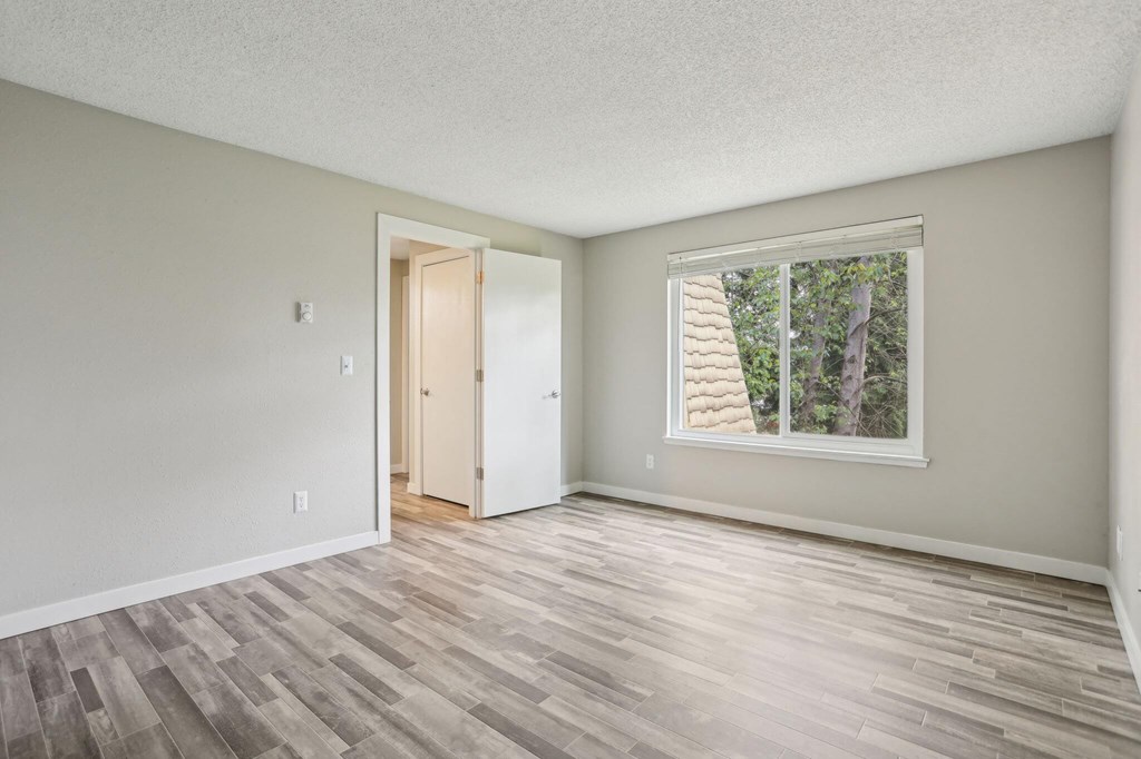 A room with a wooden floor and a window showing trees outside.
