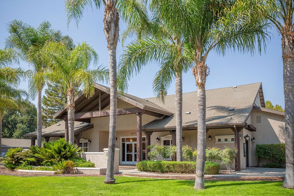 A house with a palm tree in front.