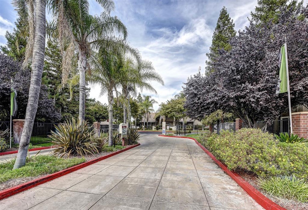 A walkway with a red line on the side and trees on both sides.
