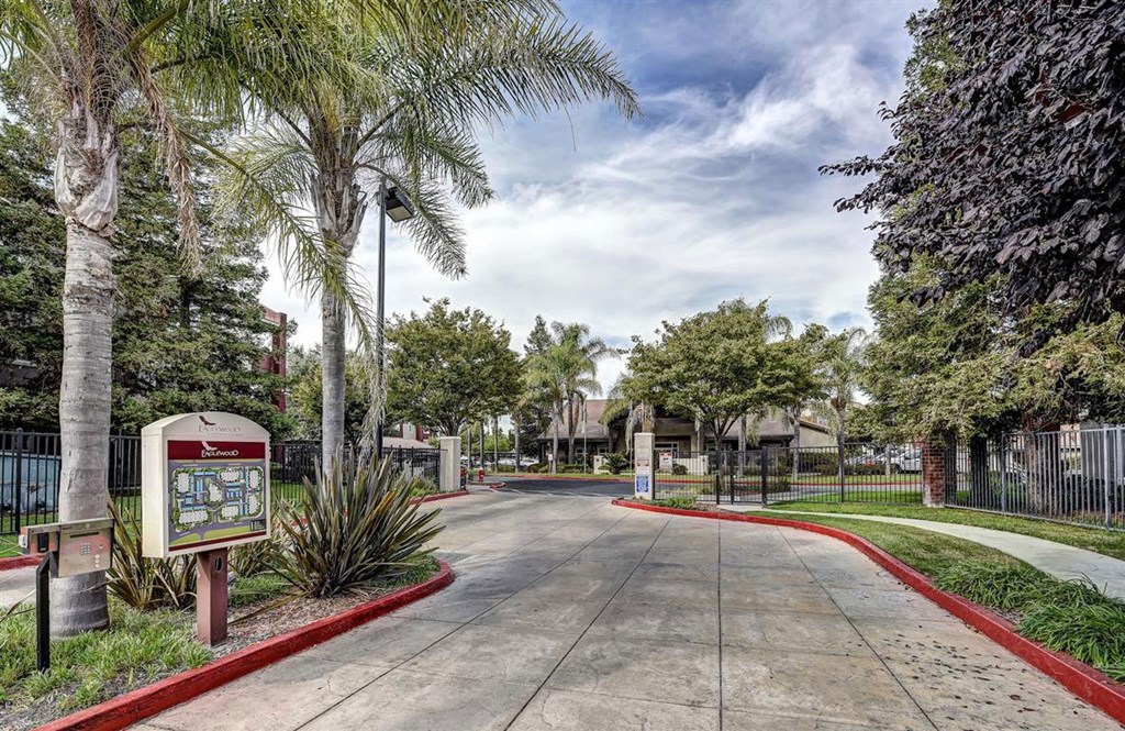 A sign is on a post in front of a tree.
