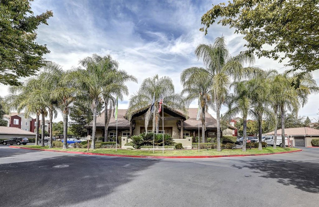 A large building with a flag on top is surrounded by palm trees.
