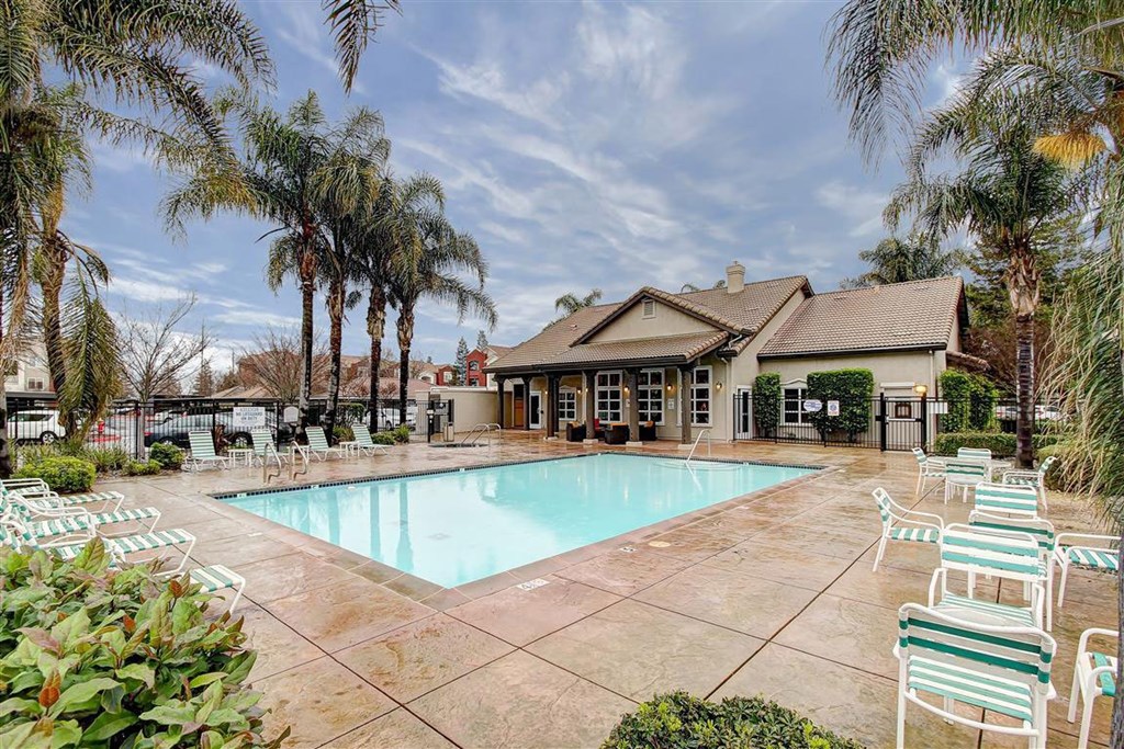A pool surrounded by palm trees and lounge chairs.