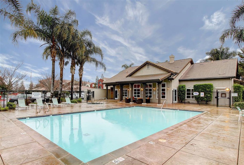 A large outdoor swimming pool surrounded by palm trees and a building.