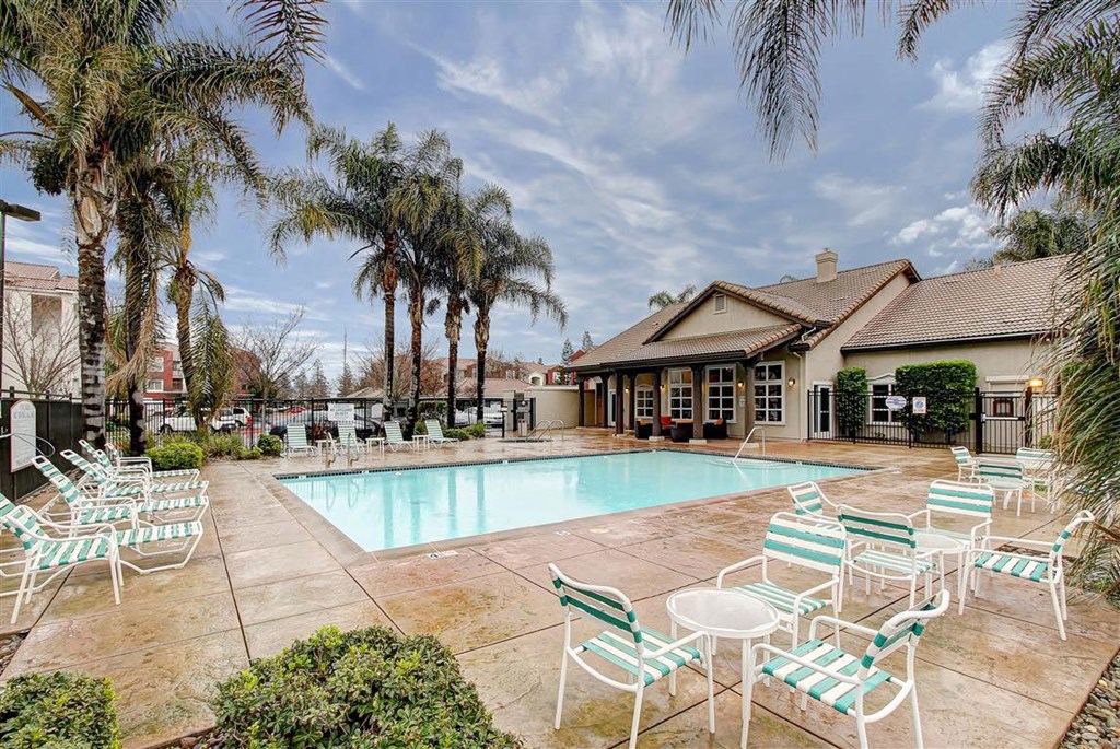 A pool surrounded by chairs and palm trees.