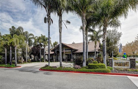 A palm tree lined street with a sign that says