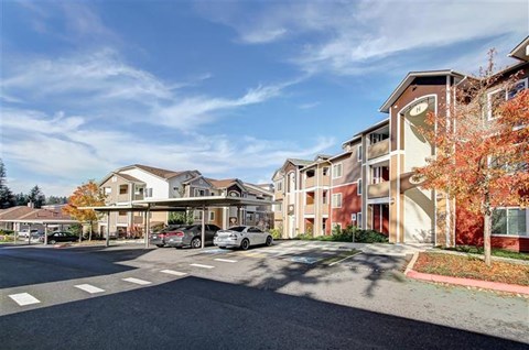 A street view of a residential area with cars parked and buildings on either side.