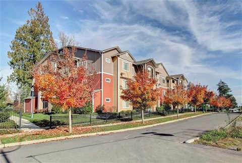 A row of houses with autumn leaves on the trees.