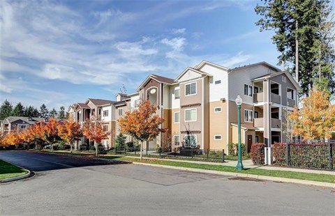 A row of apartment buildings with trees in autumn colors in front.