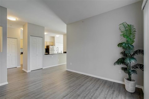 A room with a plant on the right side.