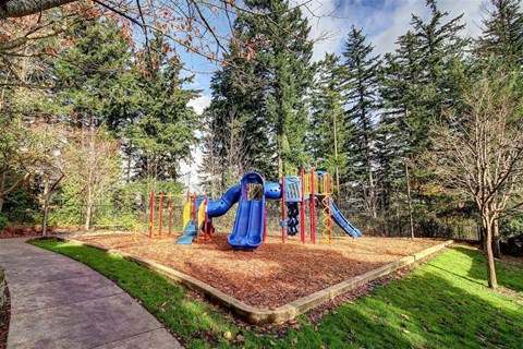A playground with a blue slide and a yellow slide.
