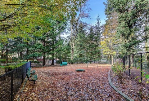 A park with a fence, benches, and trees.