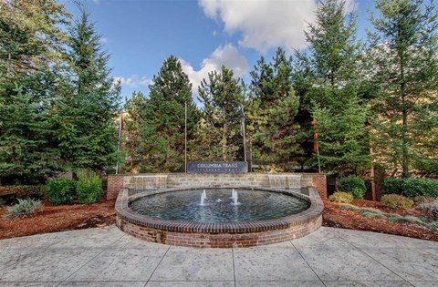 A fountain in the middle of a plaza surrounded by trees.