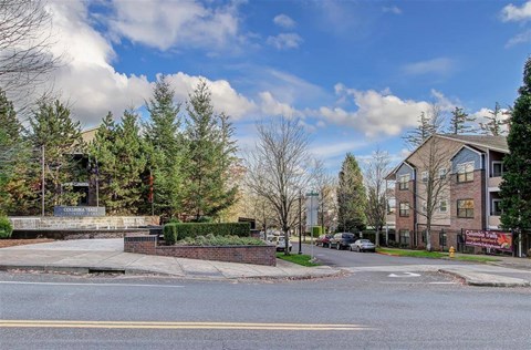 A street view with a building on the right and trees in the background.