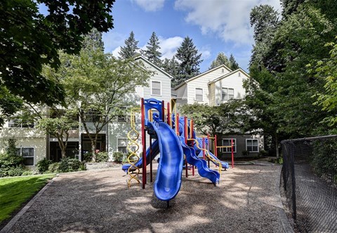 A playground with a blue slide and a yellow slide.