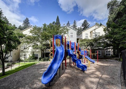 A playground with a blue slide and a yellow ladder.