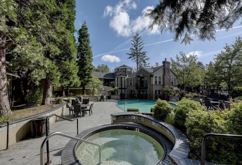 A hot tub sits in the middle of a patio surrounded by trees.