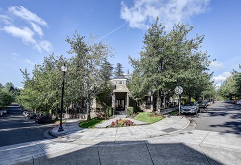 A street view of a residential area with houses and trees.
