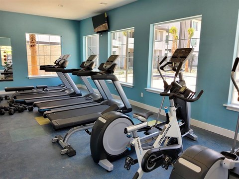 A gym with treadmills and elliptical machines.