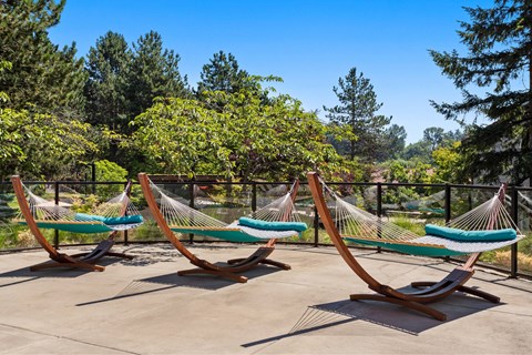 Four hammocks are strung between two trees in a sunny outdoor area.