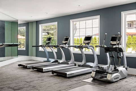 A gym with treadmills and elliptical machines.