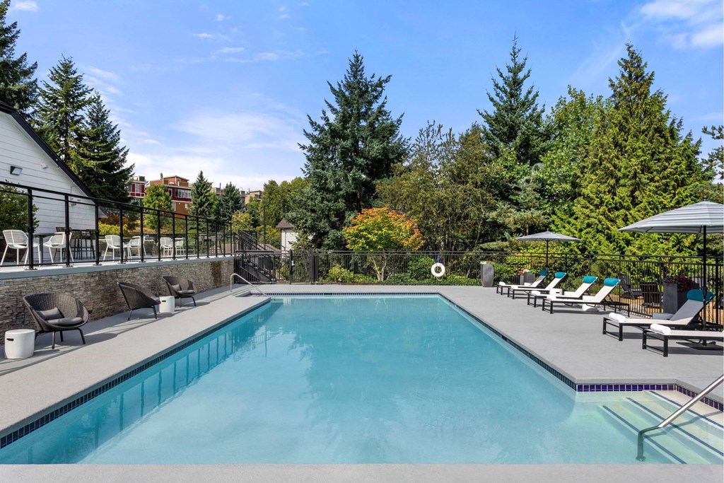 A large outdoor swimming pool surrounded by trees and lounge chairs.