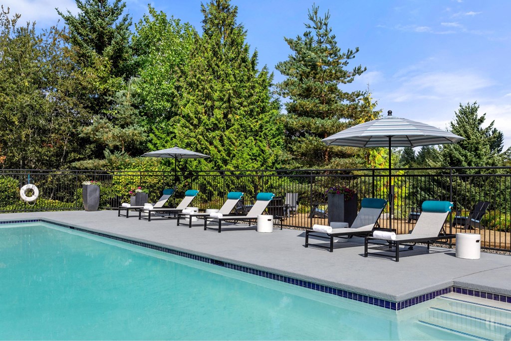 A pool surrounded by trees and chairs under an umbrella.