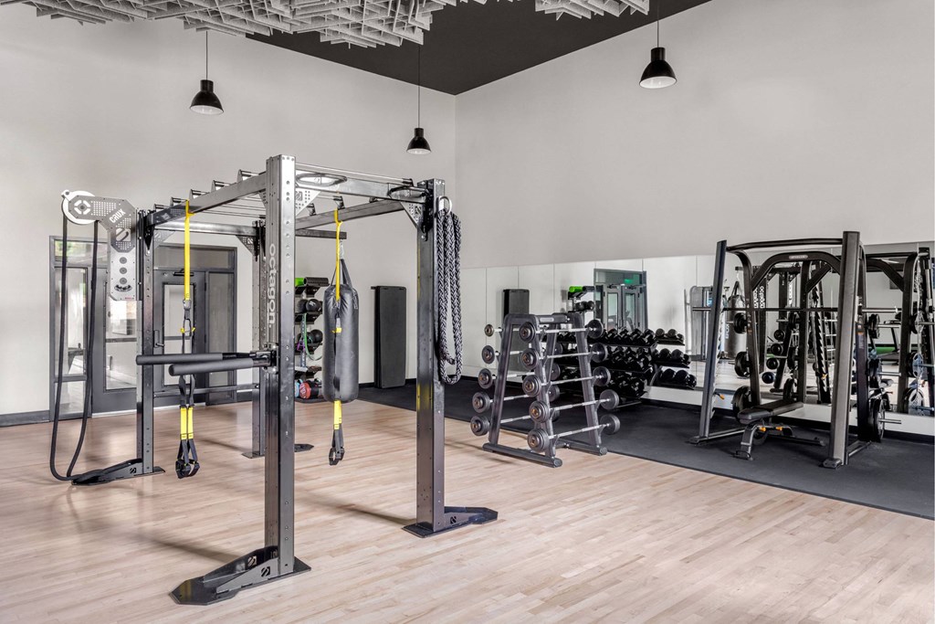 A gym with a variety of equipment including a squat rack, bench press, and a rowing machine.