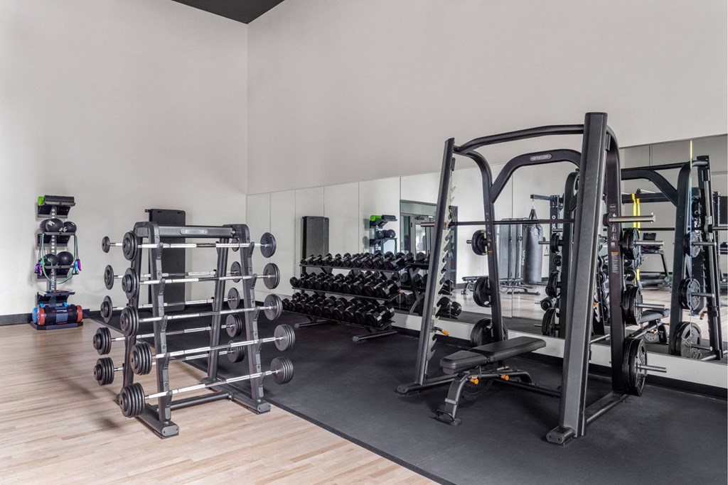 A gym with a variety of equipment including a squat rack, bench press, and dumbbells.