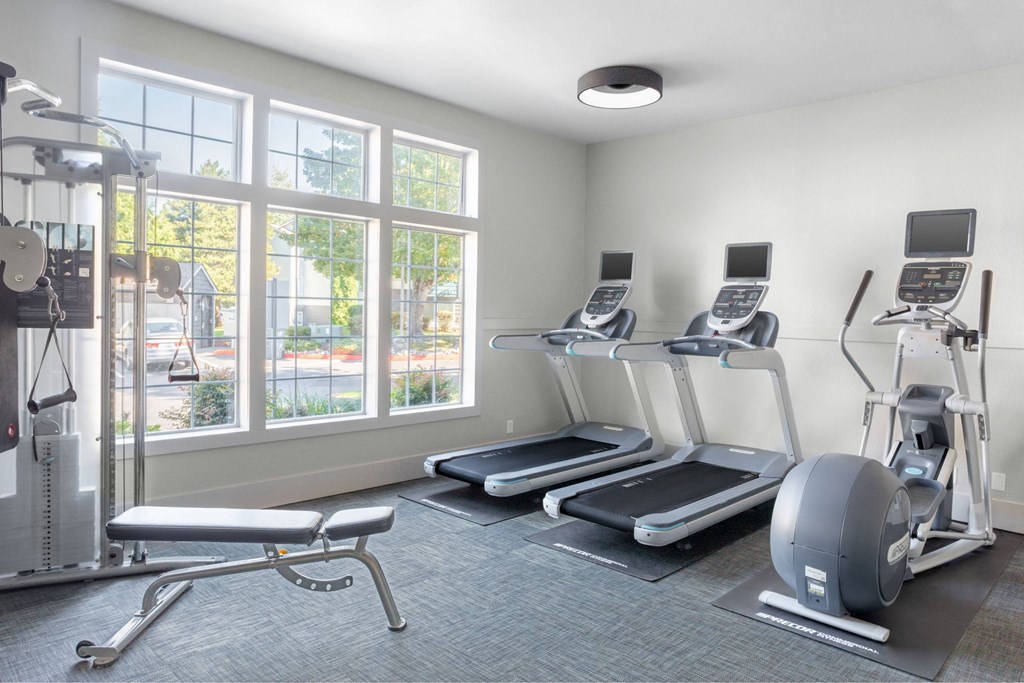 A gym with treadmills, elliptical machines, and a weight bench.