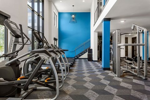 A gym with treadmills and exercise equipment.