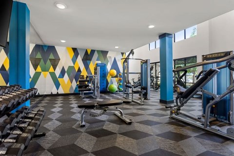 A gym with a variety of equipment including weights and a leg press machine.