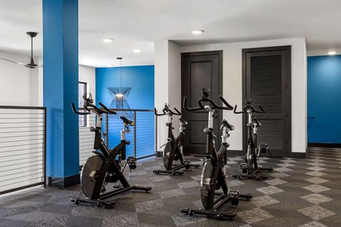 A row of stationary bikes are lined up in a room.